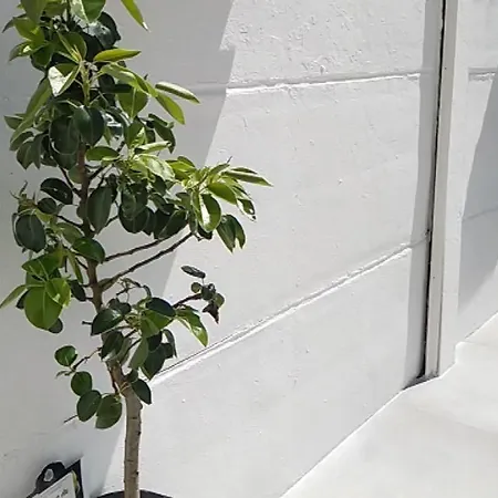 Сasa de vacaciones Le 32 Lens