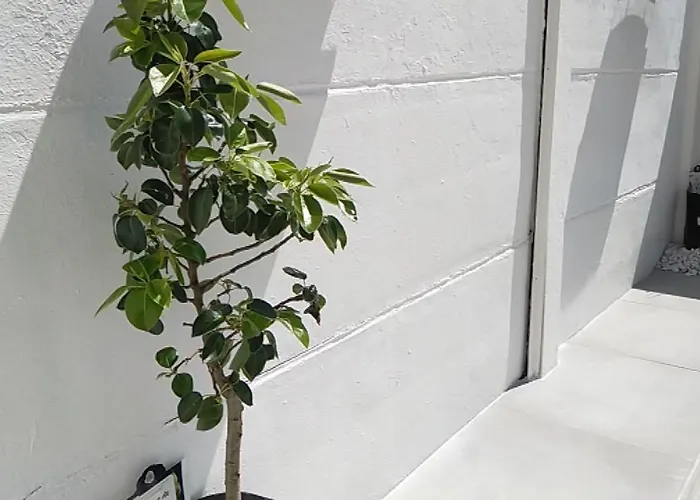 度假居 Le 32 朗斯